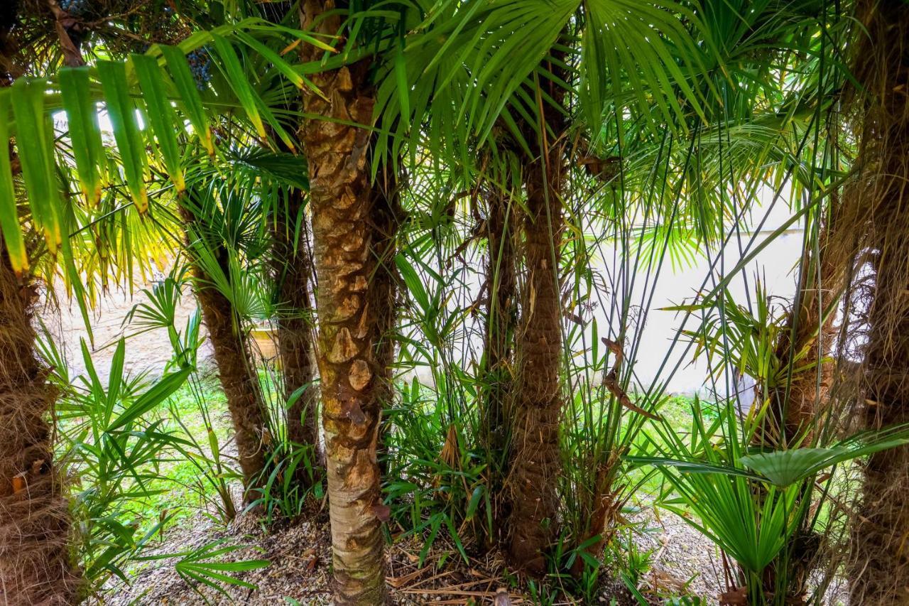 Le Cordon Bleu # Vieux-Cognac # Jardin Leilighet Eksteriør bilde